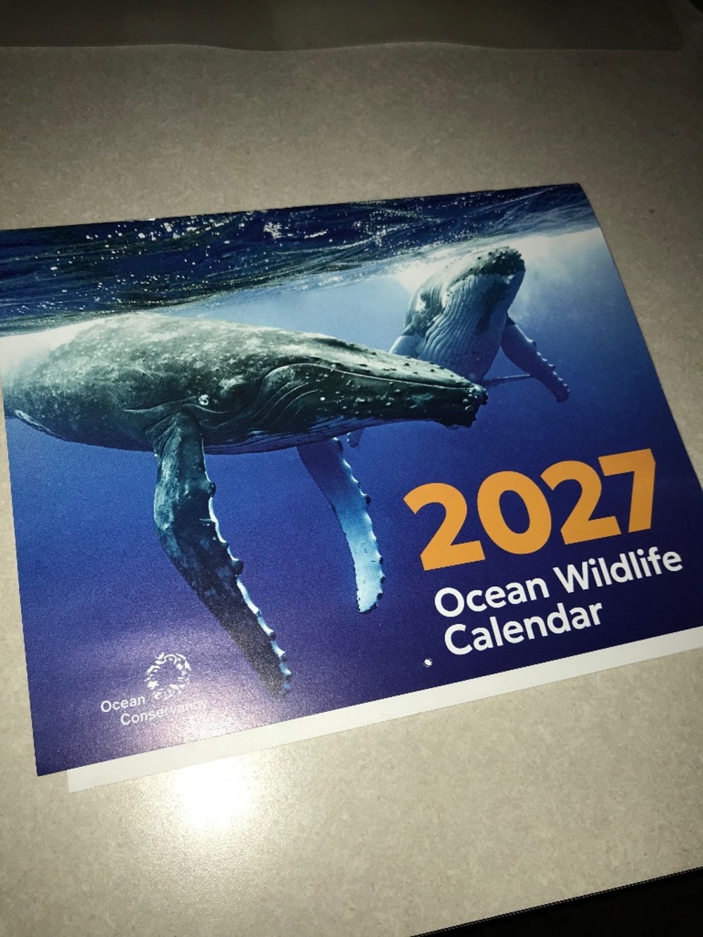 2027 Ocean Wildlife wall Calendar and BONUS